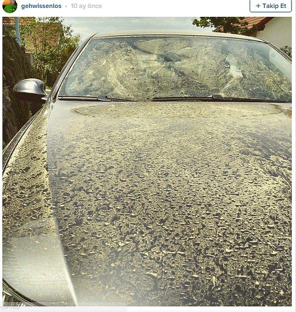 4. Arabanızın üstünü kaplayan polen görüntüsü sizin için nice korku filmine taş çıkartır niteliktedir.