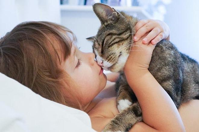 22 Madde ile Kediniz Sizi Sevdiğini Nasıl Gösterir?