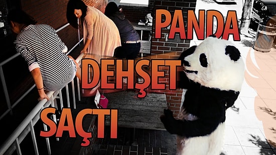 İnternetin Fenomeni "Never Say No To Panda" Gerçek Hayatta Olsaydı