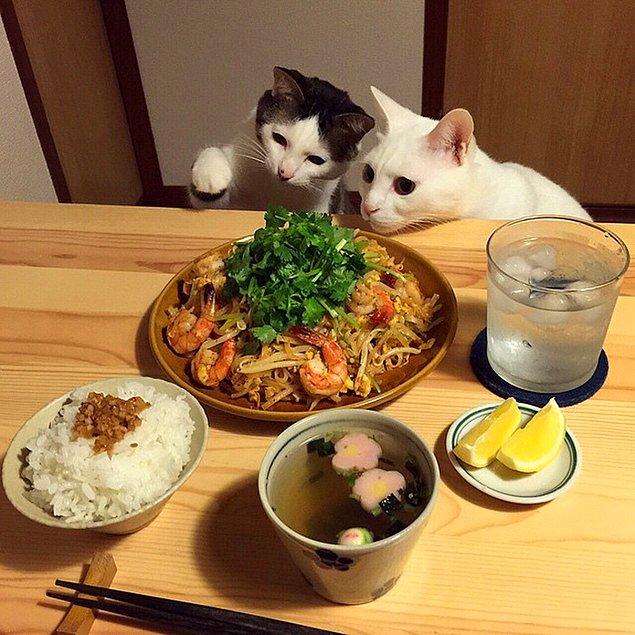 Fakat Japonya'da yaşayan bu iki minnoş, insanları yemek yerken öyle bir ruh haline bürünüyor ki...