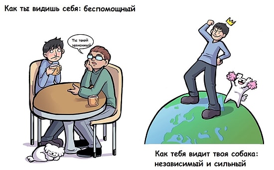 11 иллюстраций о том, как мы выглядим в глазах собаки