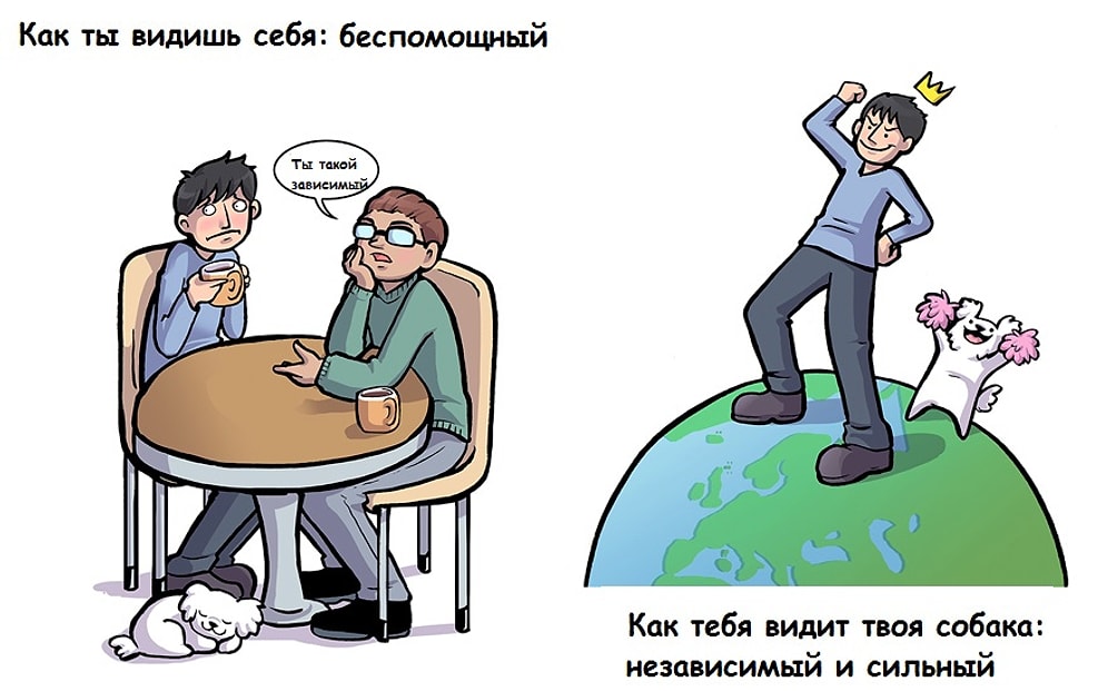 11 иллюстраций о том, как мы выглядим в глазах собаки