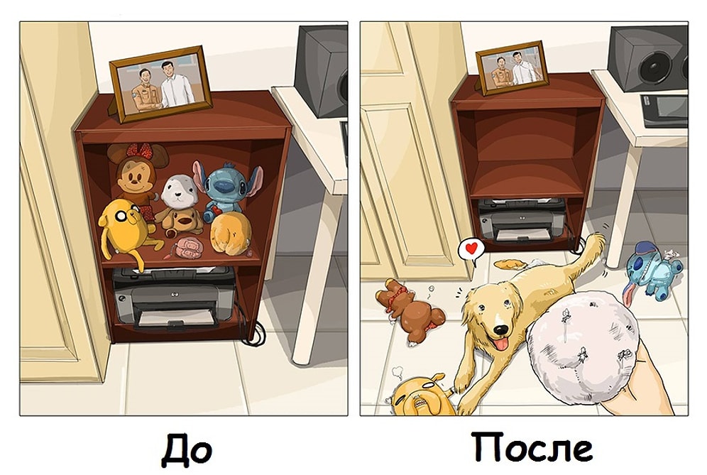 9 иллюстраций о жизни до и после собаки