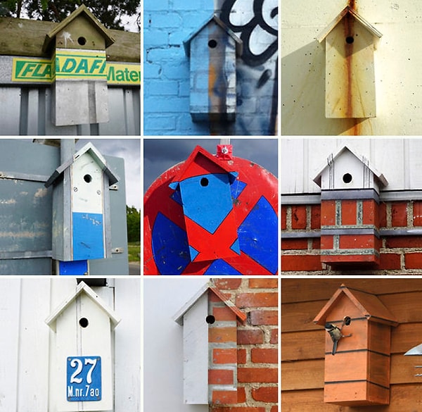 15. А это "камуфляжные" скворечники - еще одна задумка креативного добряка