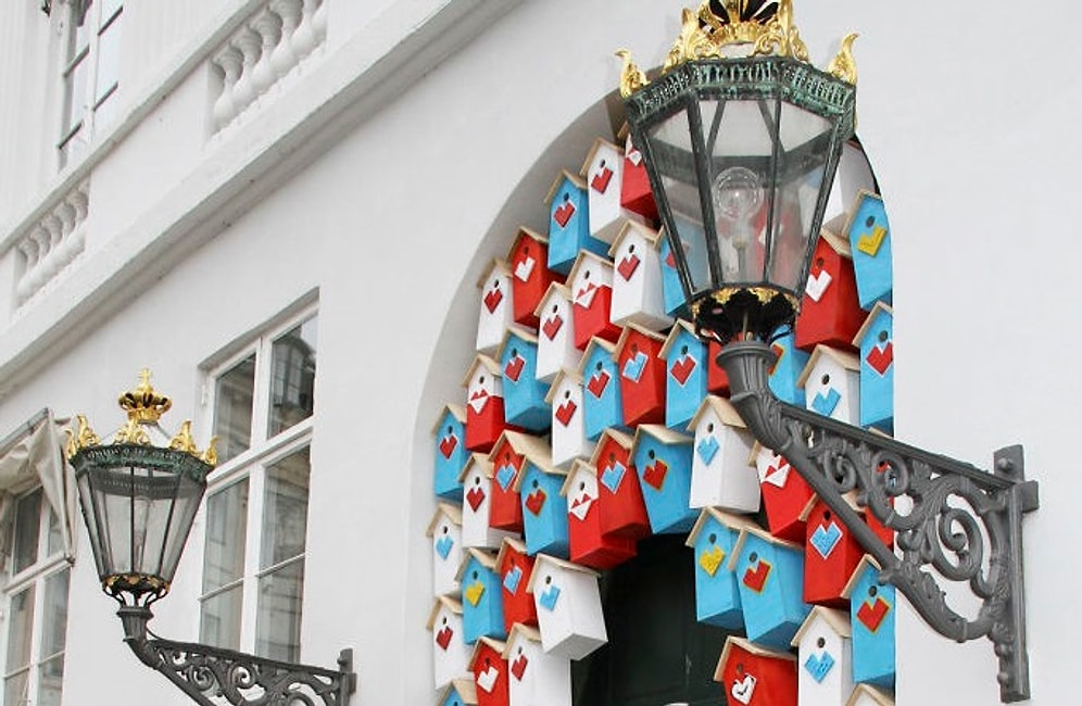 3500 скворечников за 7 лет: неравнодушный парень творит добро для пернатых