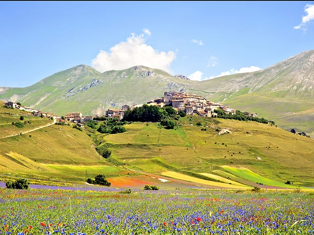 Кастеллуччо ди Норча недалеко от Умбрии, Италия - еще одно живописное место, где можно наблюдать цветение с  мая по июль.