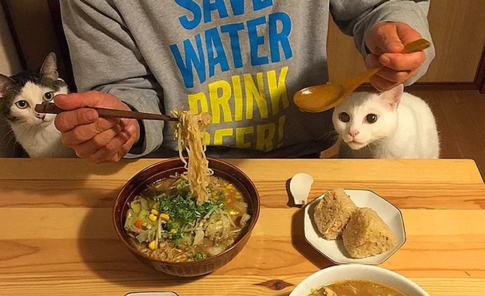 Созерцать еду на столе таким образом могут только японские кошки