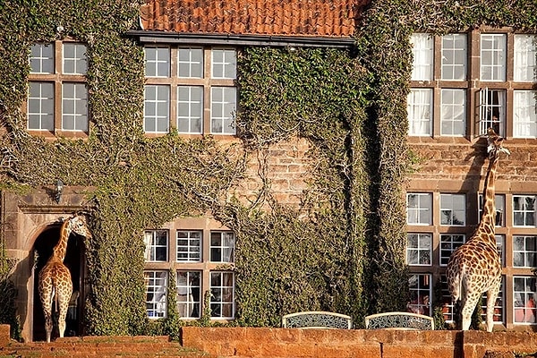 9. Отель Giraffe Manor, Кения