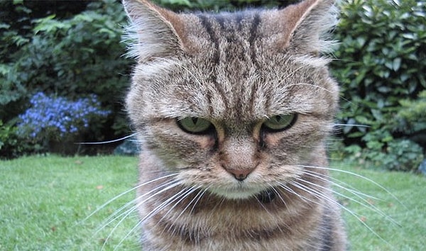 17. Все хорошо