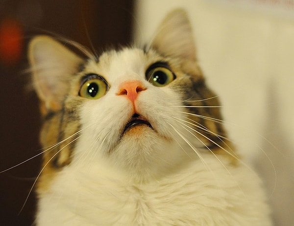 2. Нам надо...