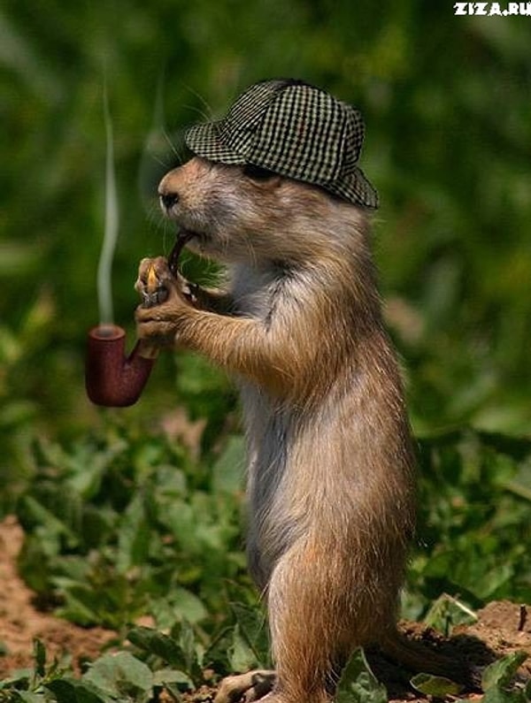 1. Я не хочу говорить об этом