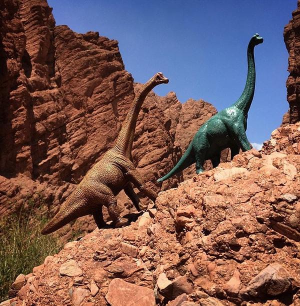 3. Bu ilginç hikaye Jorge Saenz "Dino" adını verdiği yeşil Brachiosaurus'u Bolivya'nın La Paz şehrindeki bir pazardan satın alıp, onun komik bir fotoğrafını takipçileriyle paylaşmasıyla başlamış.