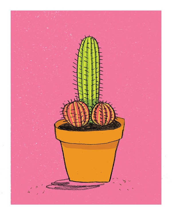 17. Принт с пошлым кактусом 🌵