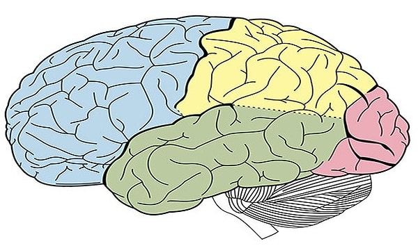14. Когда вы вспоминаете о каком-то событии, вы на самом деле вспоминаете не само событие, а последний раз, когда вы вспоминали об этом событии (кроме первого раза, конечно же). Таким образом вы вспоминаете о воспоминании. Видимо, поэтому человеческая память грешит неточностями