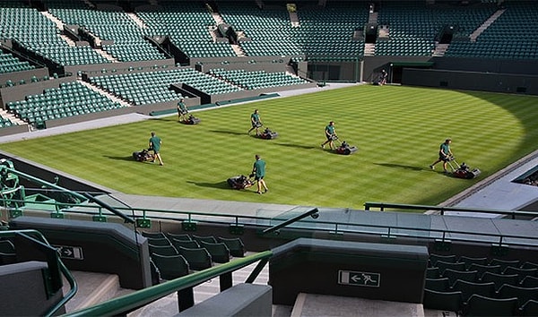 10. Площадь поверхности легких равна площади теннисного корта