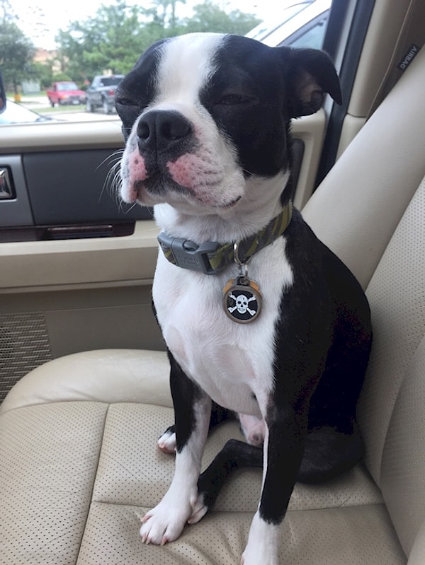 1. Но это же совсем не парк! Куда ты меня привез?