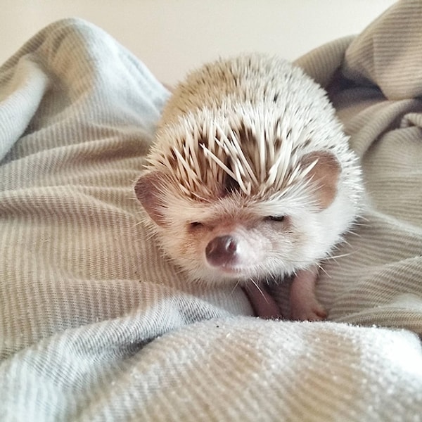 2. Где я? Где мой уютный домик?