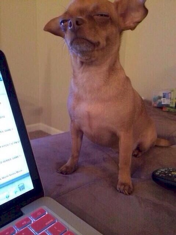 5. Когда ты говоришь, что мы пойдем гулять через 5 минут, это ведь означает "никогда"?