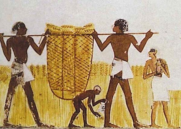 5. Mısırlı çocuklar, ergenlik dönemlerine gelinceye kadar kıyafet giymezlerdi, bunun sebebi aşırı yüksek sıcaklıklardı, öyle ki Mısırlı erkekler de etek giyerdi, alttan serin serin essin diye.