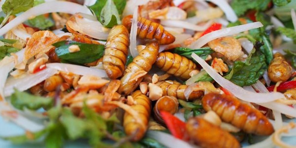 Hayaller Haplar Hayatlar Böcekler! İşte Midemizi Çokça Zorlayacak Yeni Nesil Gıdalar