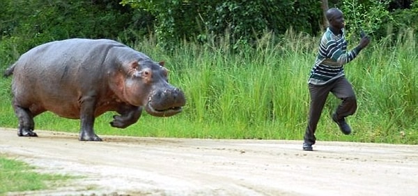 1. Такого поворота он явно не ожидал!