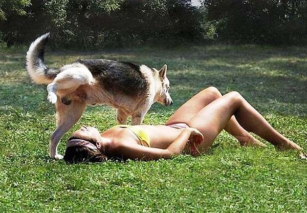 3. Несанкционированное орошение 🐶