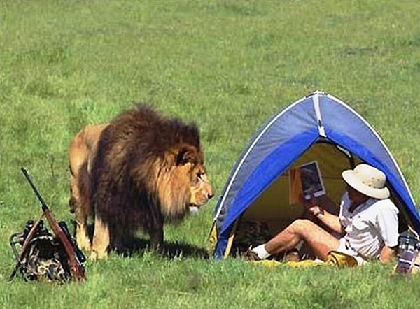 12. Тук-тук, кто в домике живет?