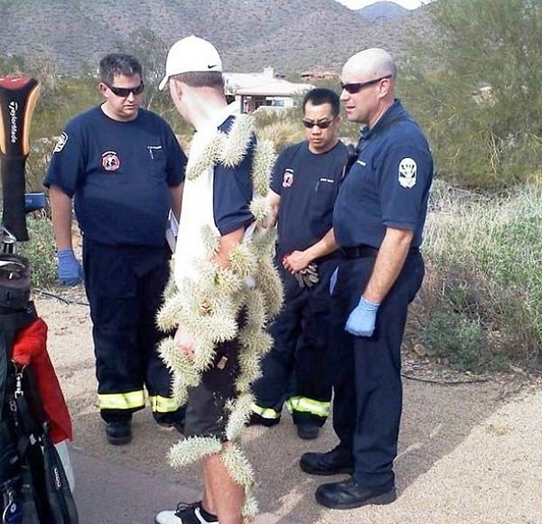 22. Любитель кактусов 🌵