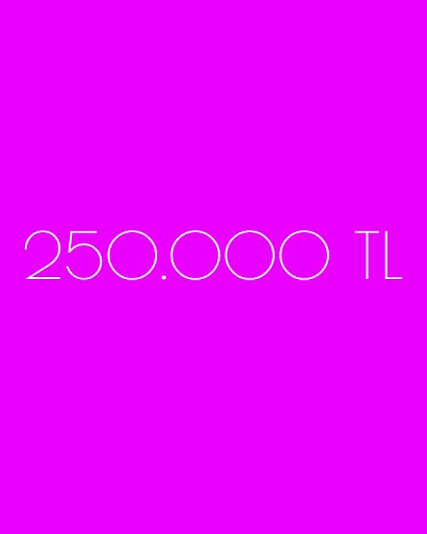 250.000 TL!