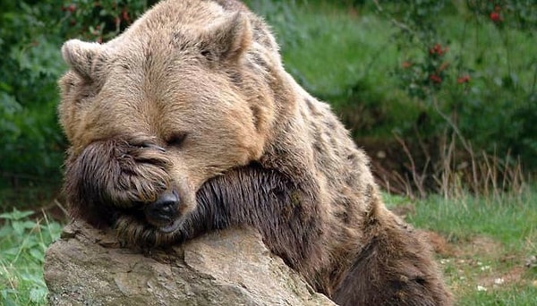 5. Сил моих больше нет...