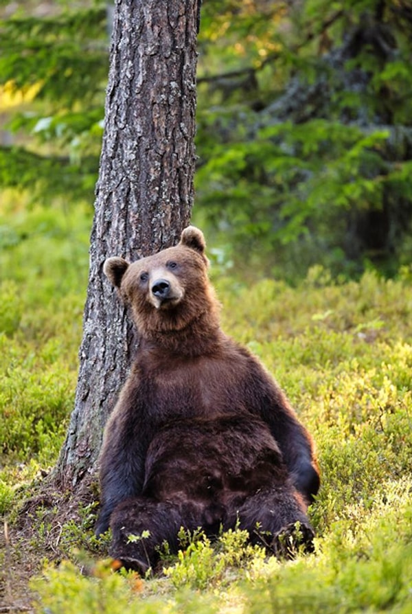 6. Уснуть бы и забыться...