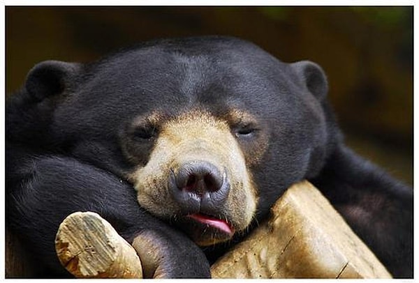 11. И снова я один... проваливаюсь в сон...