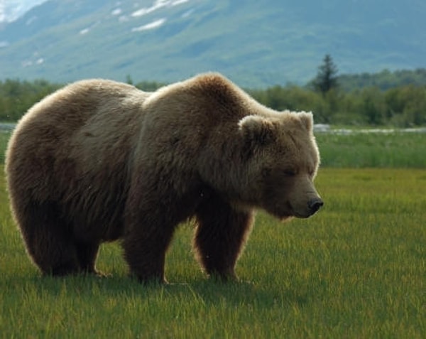 18. А завтра ведь все то же самое...