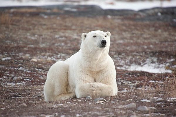 19. Я подожду, ничего страшного...