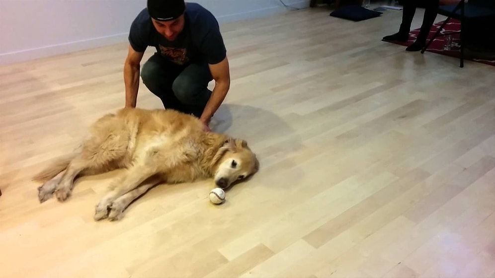 Hayvanların ve Çocukların Aslında Kafası Güzel Gezdiğin Kanıtı Niteliğine Görüntüler