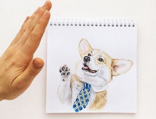 Забавные рисунки наших любимых четвероногих друзей