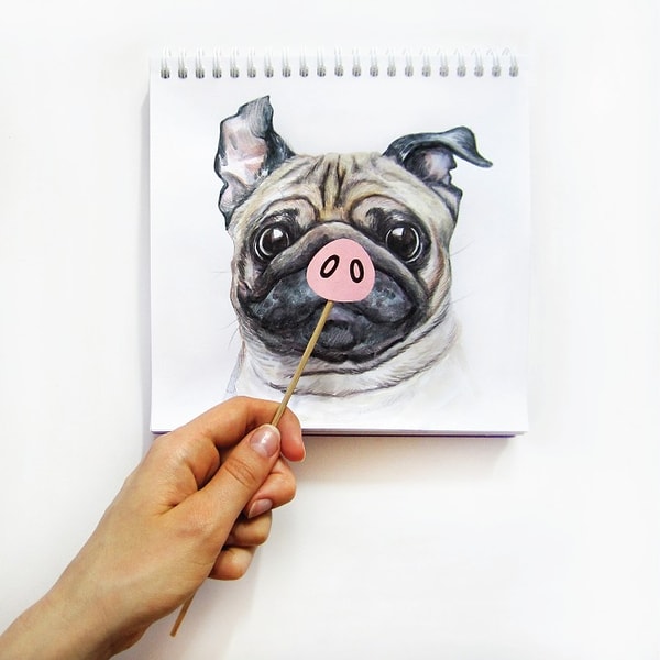 21. Когда я говорил про пластику носа, я не имел в виду поросячий хряк! Убери это!✋