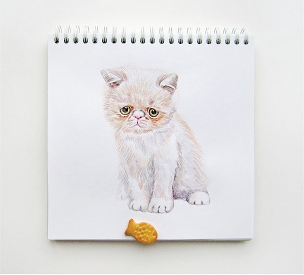 Бонус: эта парочка никогда не сможет жить в безоблачном союзе: кот и рыбка-крекер. :)