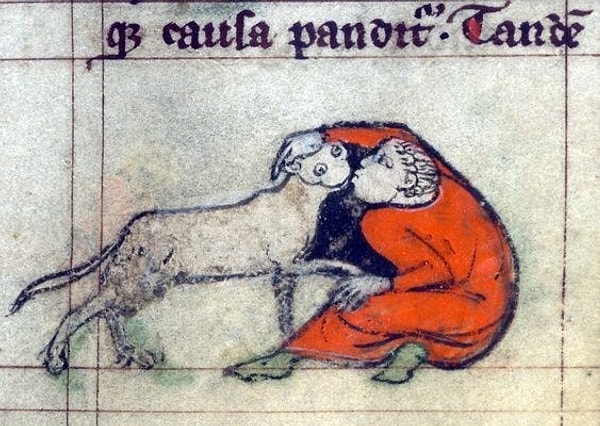 10. Когда на вечеринке ты нашел хозяйского песика и тебе резко стало пофиг на остальных гостей.