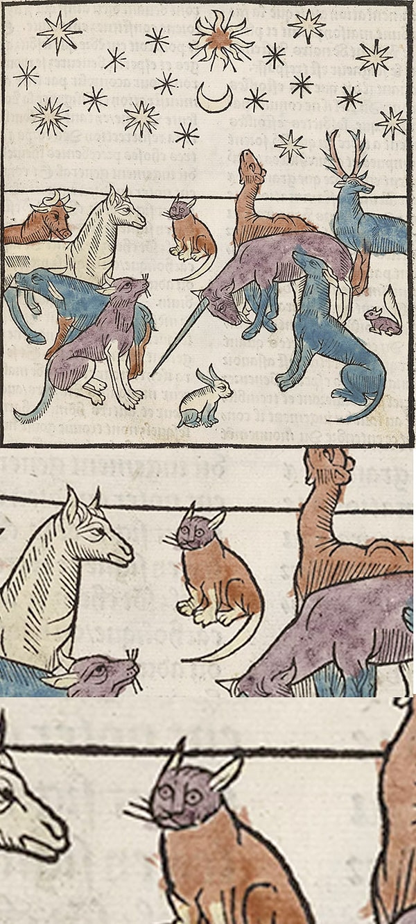 13. А вот, что случается, если ты все-таки отстал от друга и оказался один среди незнакомцев.