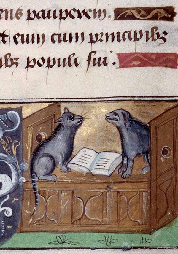 21. Когда кто-то не догоняет, что единственная причина, по которой ты пришел сюда с книгой - чтобы к тебе никто не приставал.