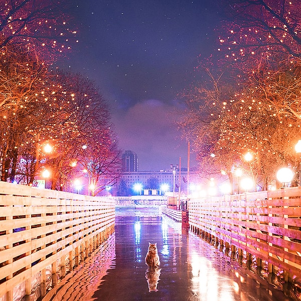 11. Макеева начала работать в Фотошопе, когда ей было 14 лет.