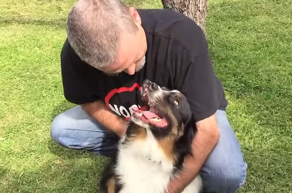 3. Беднягу уже хотели усыпить, но Тодд спас пса практически в последний момент