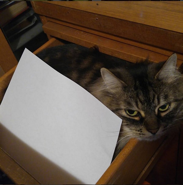 Кто-то попытался подключить к процессу домашних животных.