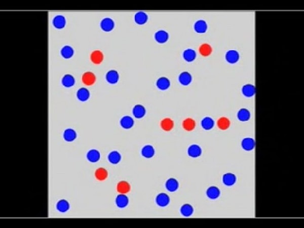 Запомни расположение красных точек!