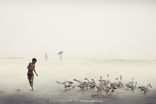 7. Его нужно искать в гармонии с природой.