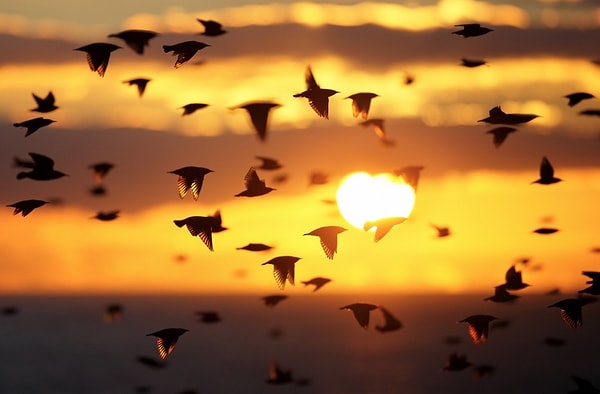 20. Когда природа находится под охраной.