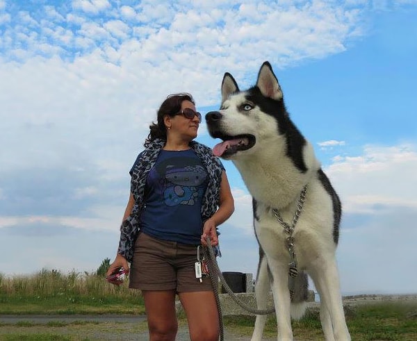 8. И защищать. ^^