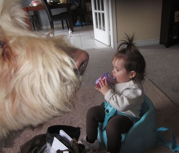 10. Кажется, эта фраза так звучала?