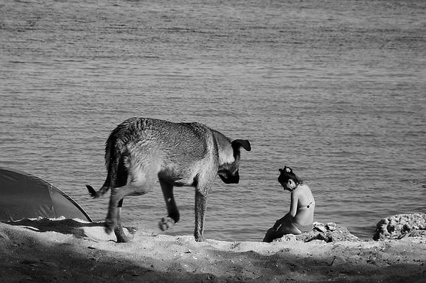 18. Ходить к морю...